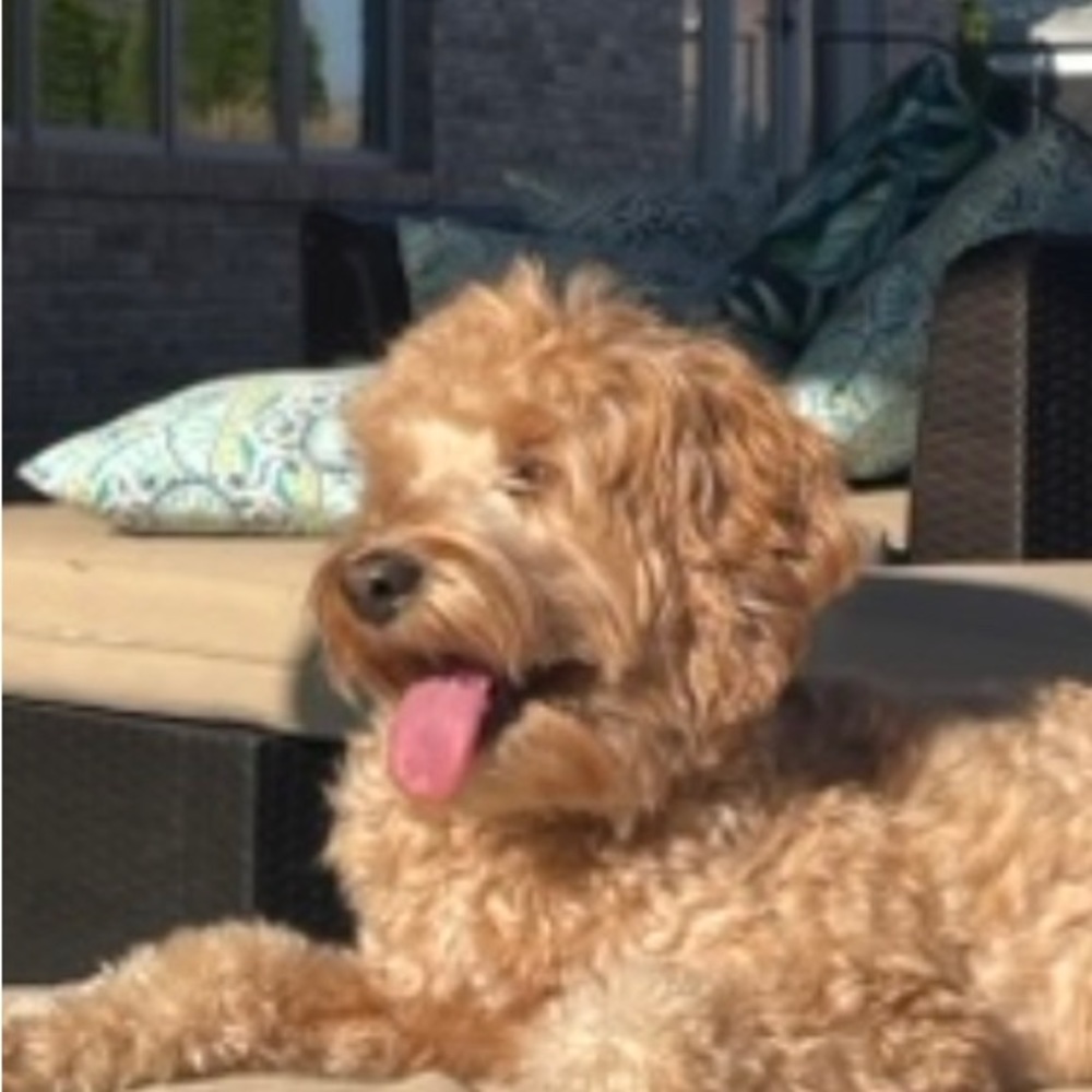 Meet your Posher, Ruby